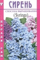 Сирень Способы выращивания артикул 12139a.