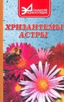 Хризантемы и астры артикул 12144a.